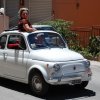 Burgio_2009 (572)